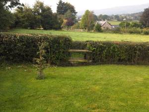 Scene from our Terrace